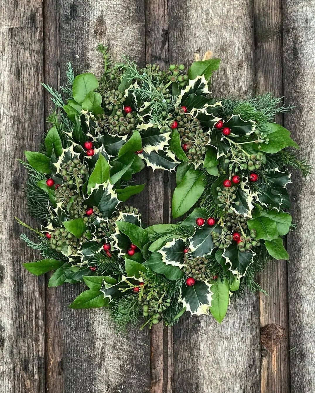 The Holly Jolly